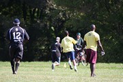 OTFL Gallery Image